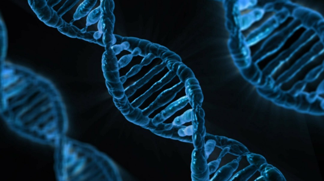 ¿Qué es la medicina regenerativa?