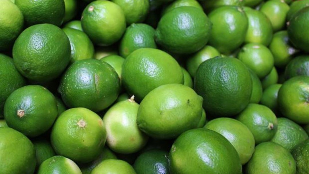 Los precios del limón no ceden