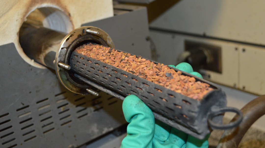 Cáscara de mangostino sirve para purificar el agua