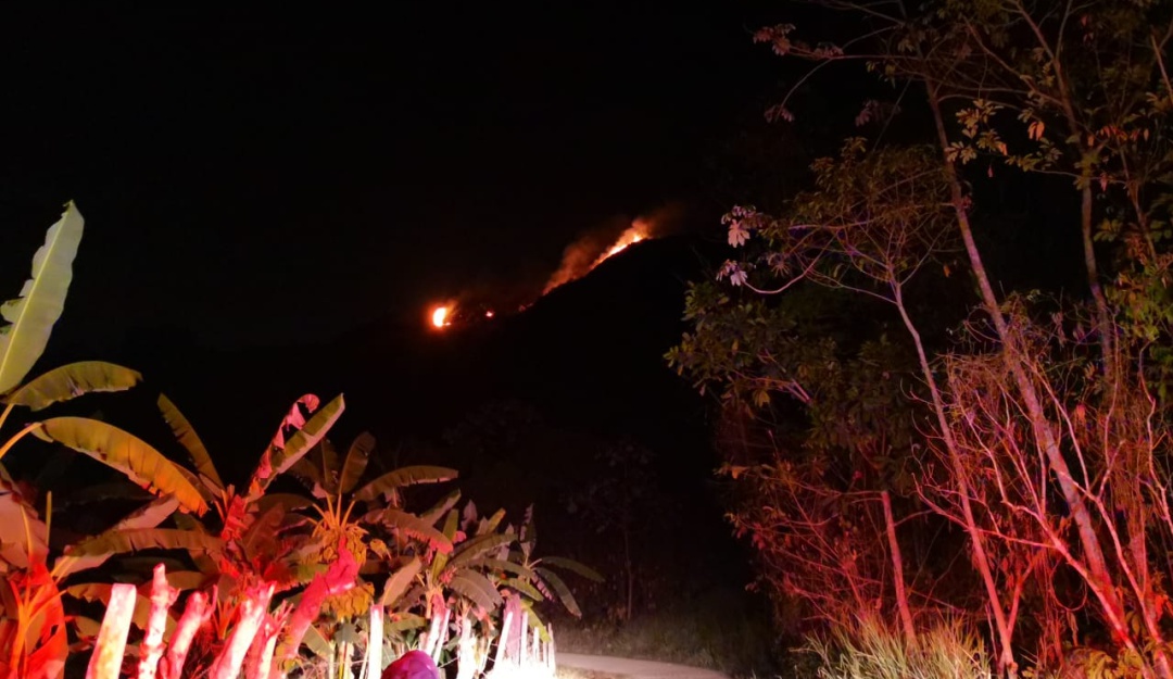 Incendio en Nilo (Cundinamarca): Incendio en Nilo (Cundinamarca) amenaza un Centro de Fauna de la CAR