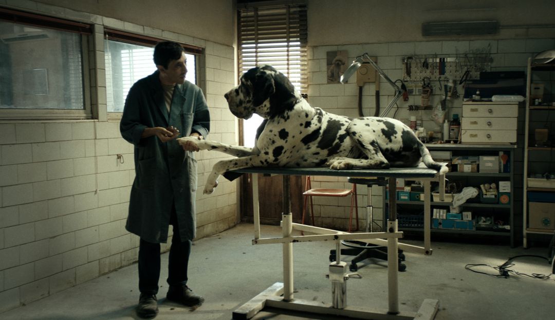 Dogman: Dogman, una versión a la italiana de David contra Goliat