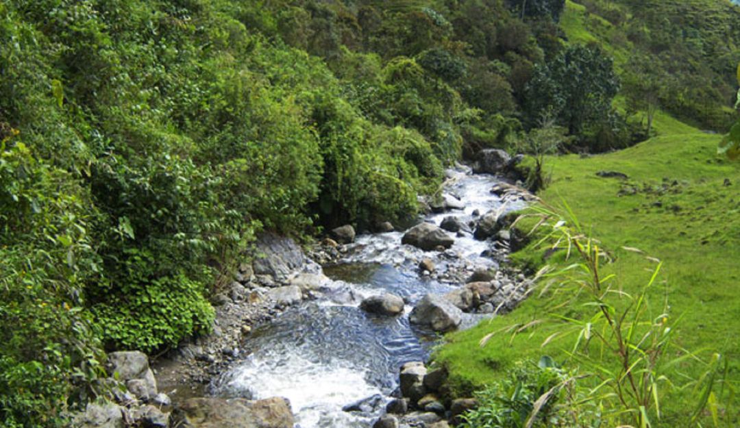Río La Miel