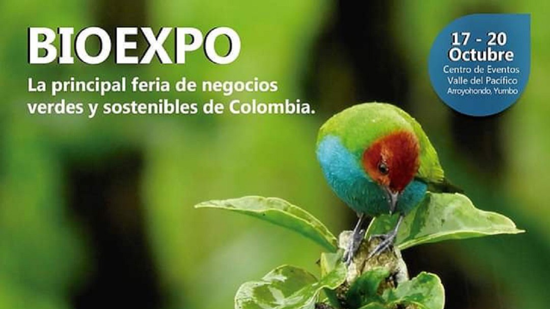 Bioexpo: la feria más importante de negocios verdes