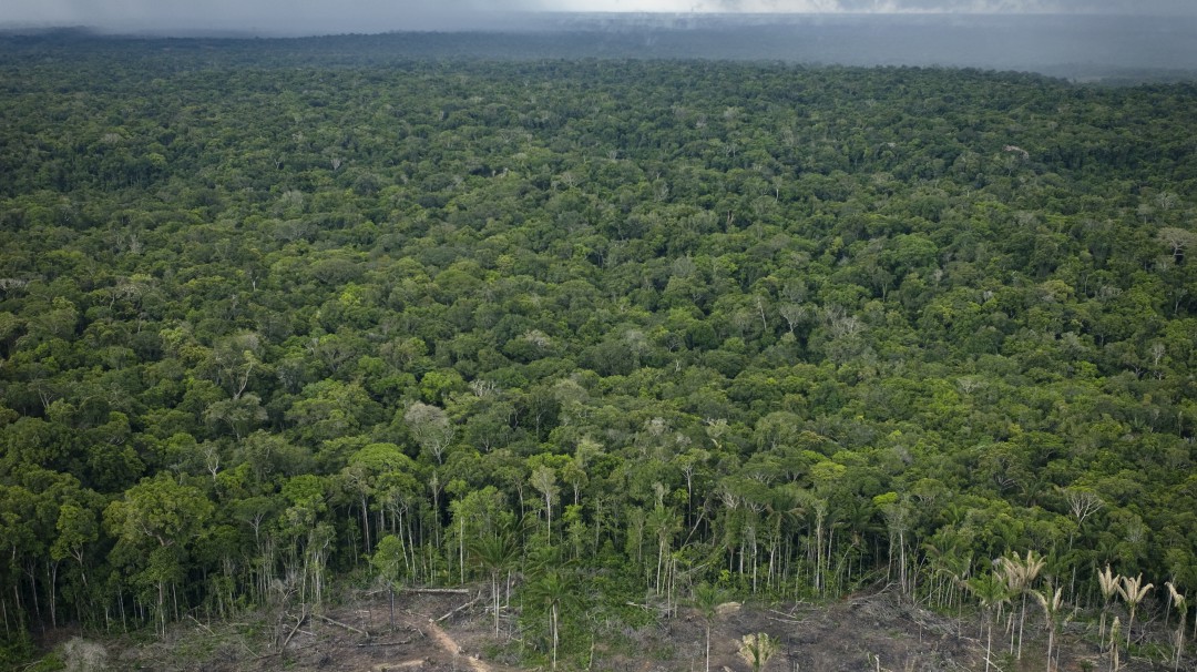 Firman nuevo pacto para áreas protegidas y resguardos en la Amazonía