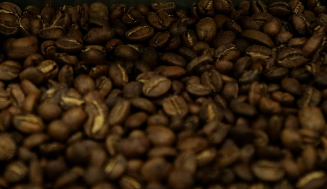 Importaciones de Café Colombia: Producción de café subió un 4% en septiembre