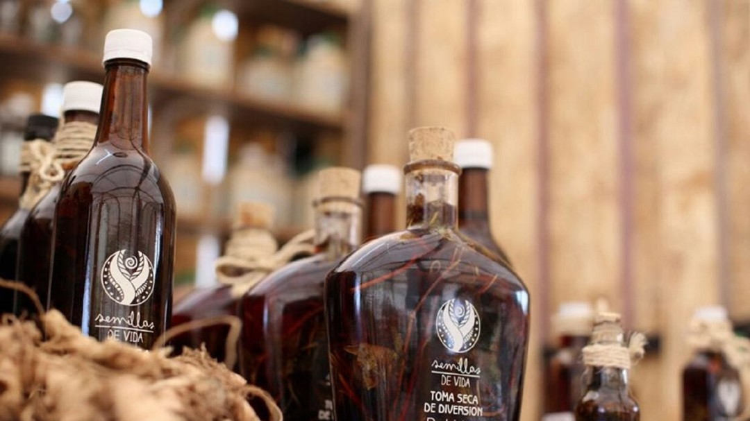 Autoridades no incautarán el viche, la bebida tradicional del Pacífico