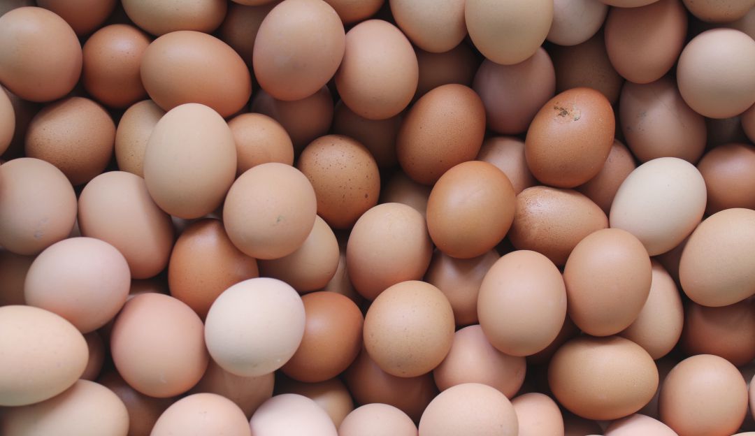 La meta para romper el récord, 62 000 huevos.