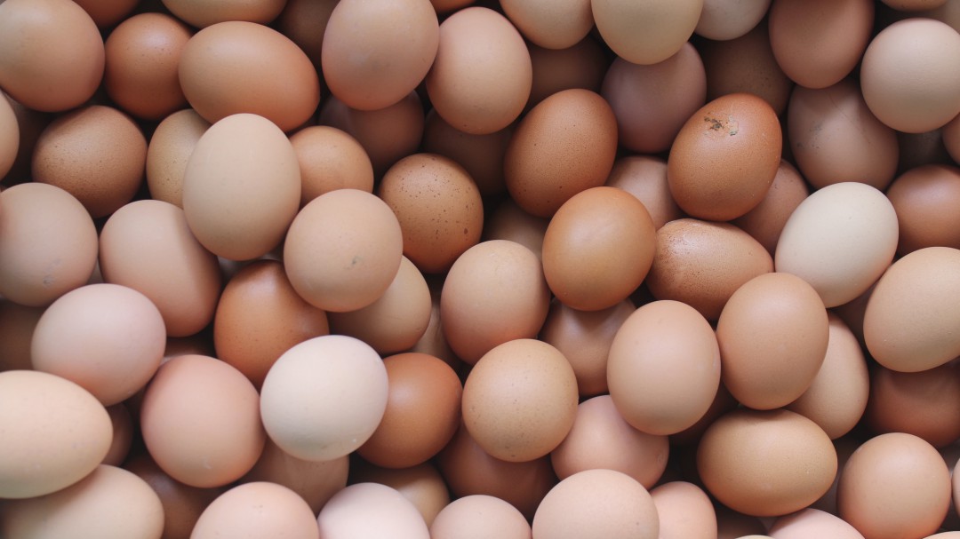 Fenavi apostará por el record Guinness de los huevos