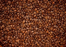 Joven indígena exporta café a Estados Unidos