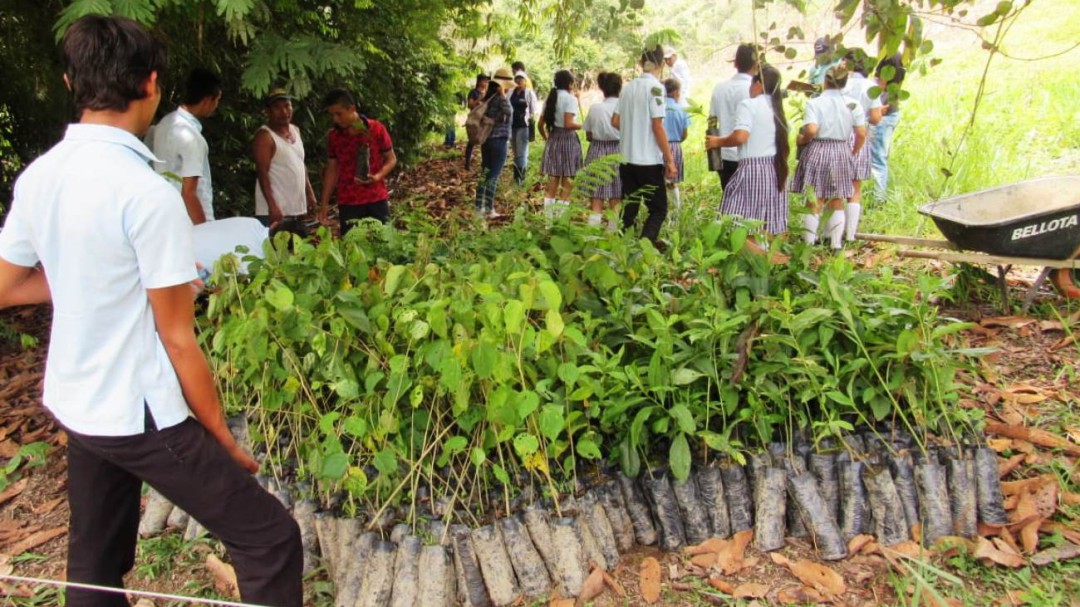 Ejército y Fe en Colombia unidos para reforestar el Sur de Bolívar