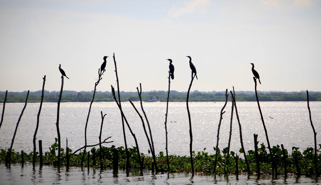 Economía naranja: Gobierno impulsa el turismo de naturaleza en Barranquilla