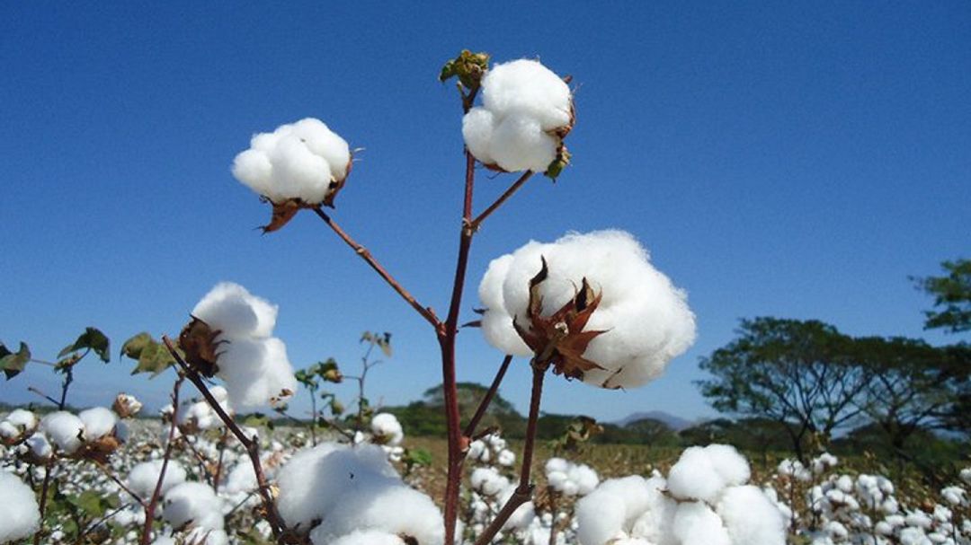 Colombia se consolida como líder en biotecnología