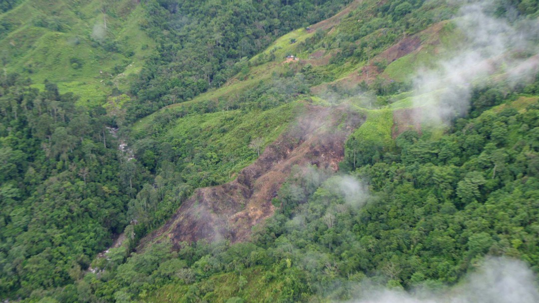 Más de 720 mil hectáreas deforestadas en Colombia desde 2014