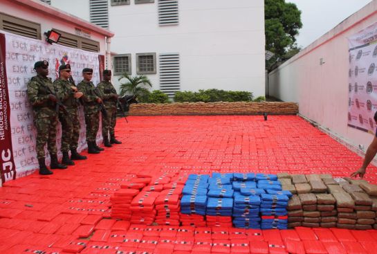 Marihuana en Colombia: Casi dos toneladas de marihuana fueron incautadas por el Ejército Marihuana en Colombia: Casi dos toneladas de marihuana fueron incautadas por el Ejército