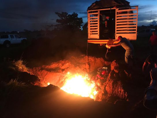 Marihuana en Colombia: Casi dos toneladas de marihuana fueron incautadas por el Ejército Marihuana en Colombia: Casi dos toneladas de marihuana fueron incautadas por el Ejército
