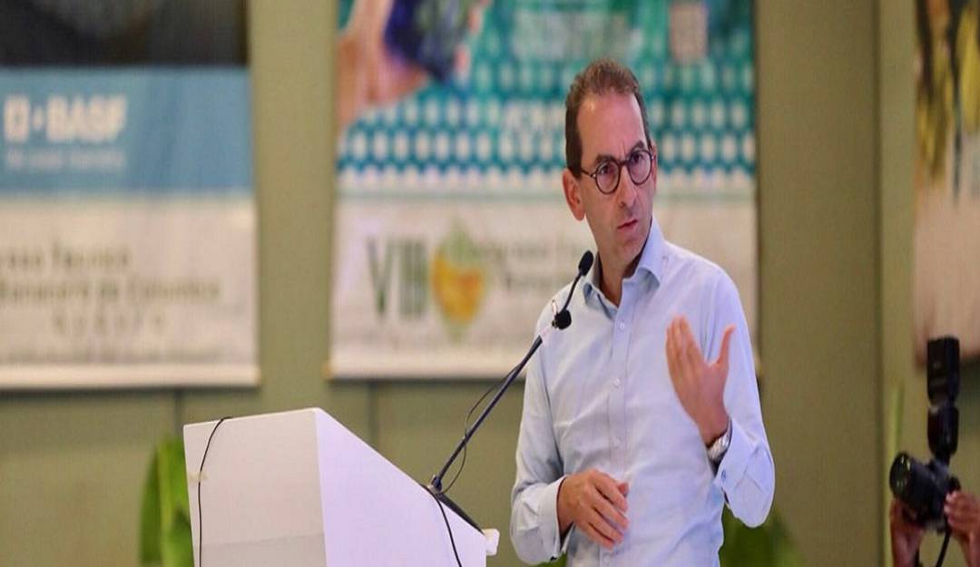 Maíz y algodón cordobés, en la política de empleo del agro en Colombia