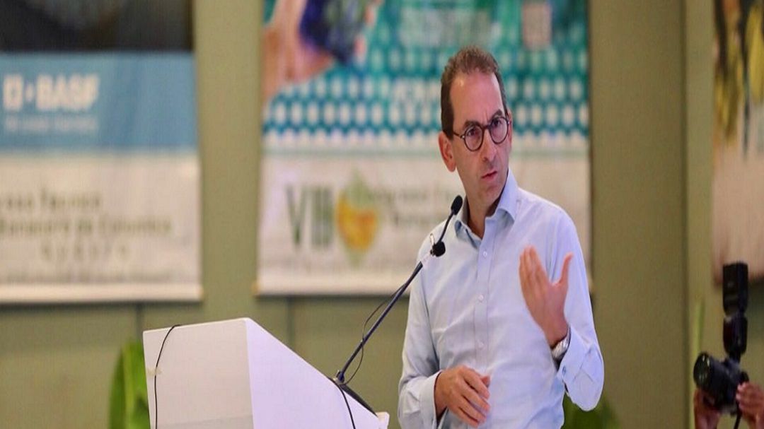 Maíz y algodón cordobés, en la política de empleo del agro en Colombia