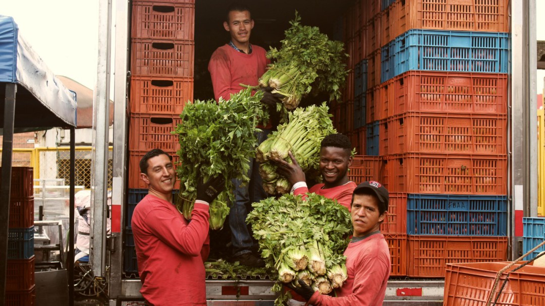 No bote los alimentos, en el planeta hay mucha hambre
