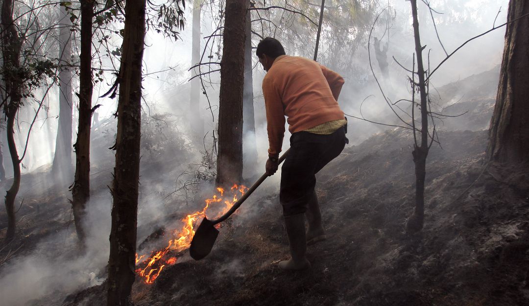 Incendios en Bogotá: Controlado incendio sobre la ronda del Río Bogotá