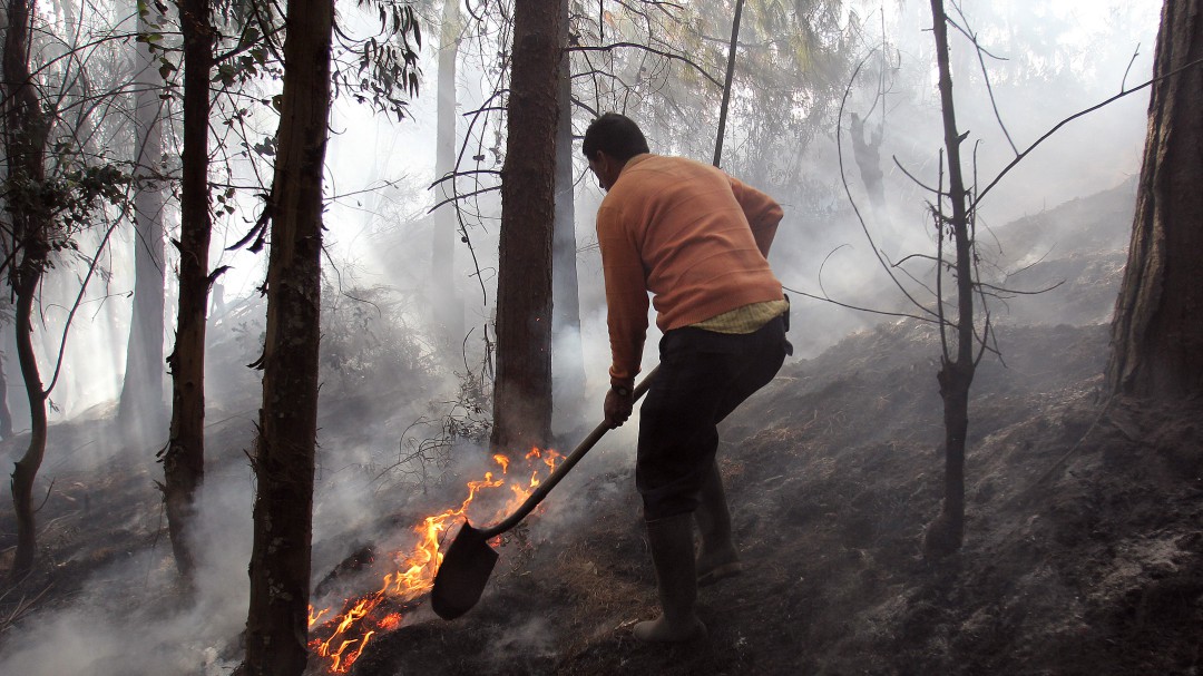 Controlado incendio sobre la ronda del Río Bogotá