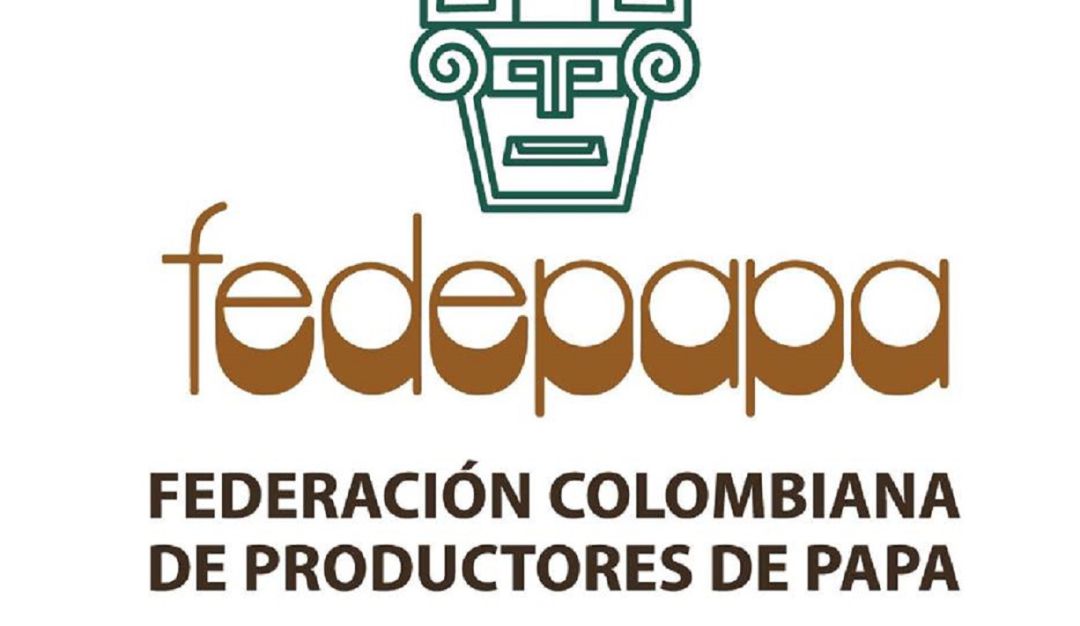 Aranceles antidumping en Colombia papas fritas: Fedepapa: Las empresas europeas vendían sus papas fritas de forma desleal