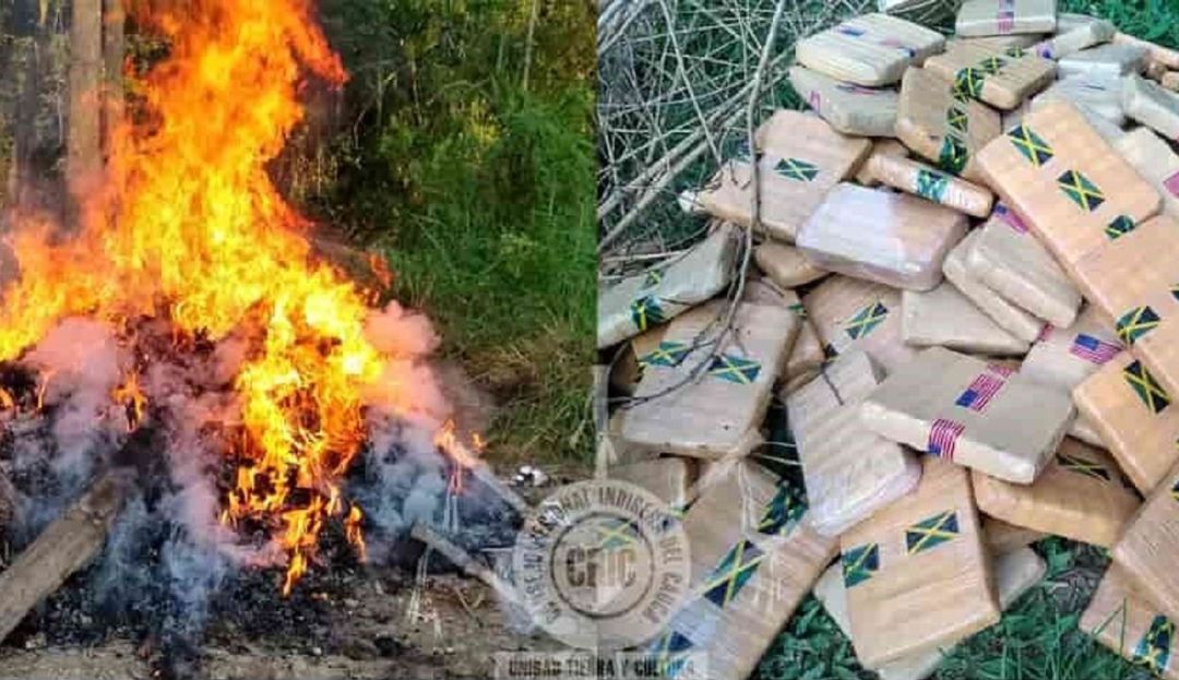 Narcotráfico en Colombia: Guardia indígena incautó droga a narcos en el norte del Cauca