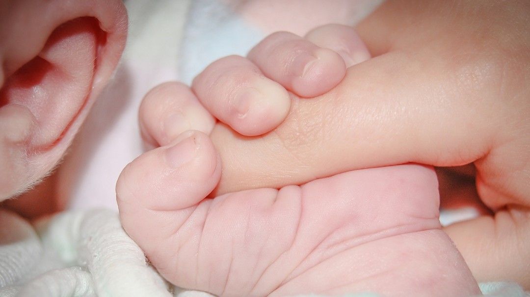 Primera Jornada Nacional de Tamizaje Auditivo Neonatal