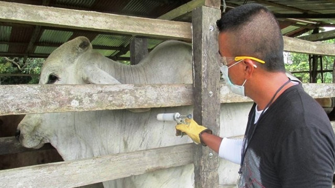 En Bolívar, ICA acompañó primera Agroferia Comercial y VI Mercado Campesino