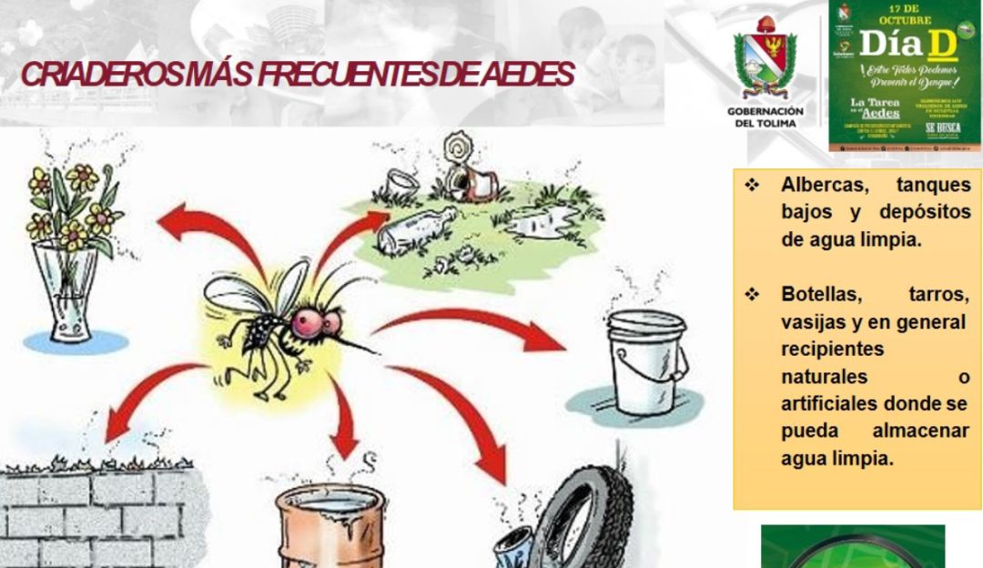 Casos de Dengue Tolima: Aumentan las muertes por dengue en el Tolima