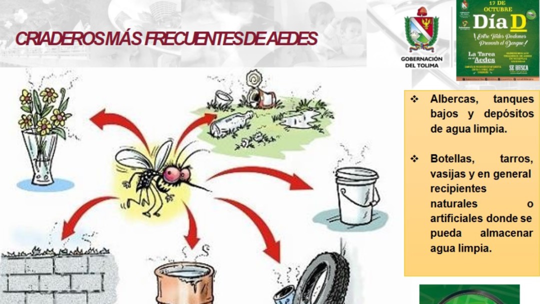 Aumentan las muertes por dengue en el Tolima