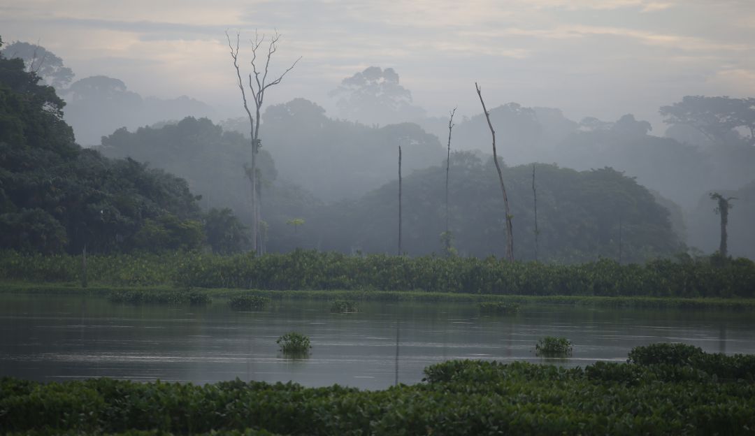 Región Amazónica