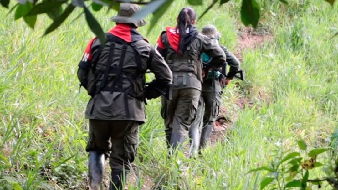 ONG Progresar denuncia aumento del Eln en frontera