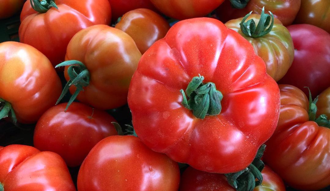 Cultivos sostenibles: Tomates de invernadero, para una agricultura más limpia