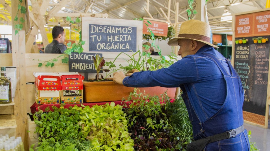 UE amplía su cooperación para iniciativas sostenibles en Colombia