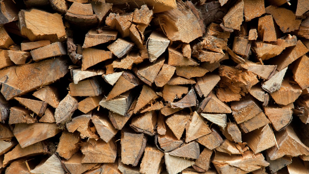 Firman compromiso para frenar el comercio de madera ilegal en Bogotá