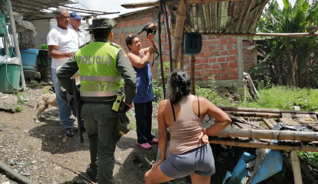 Autoridades rescatan a "mono titi cariblanco" en el corregimiento de Amaime