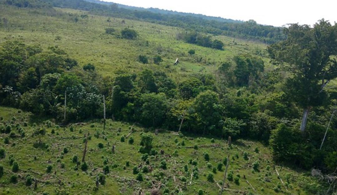 Agencia de Tierras jornada Electoral: Agencia Nacional de Tierras no participa en procesos electorales