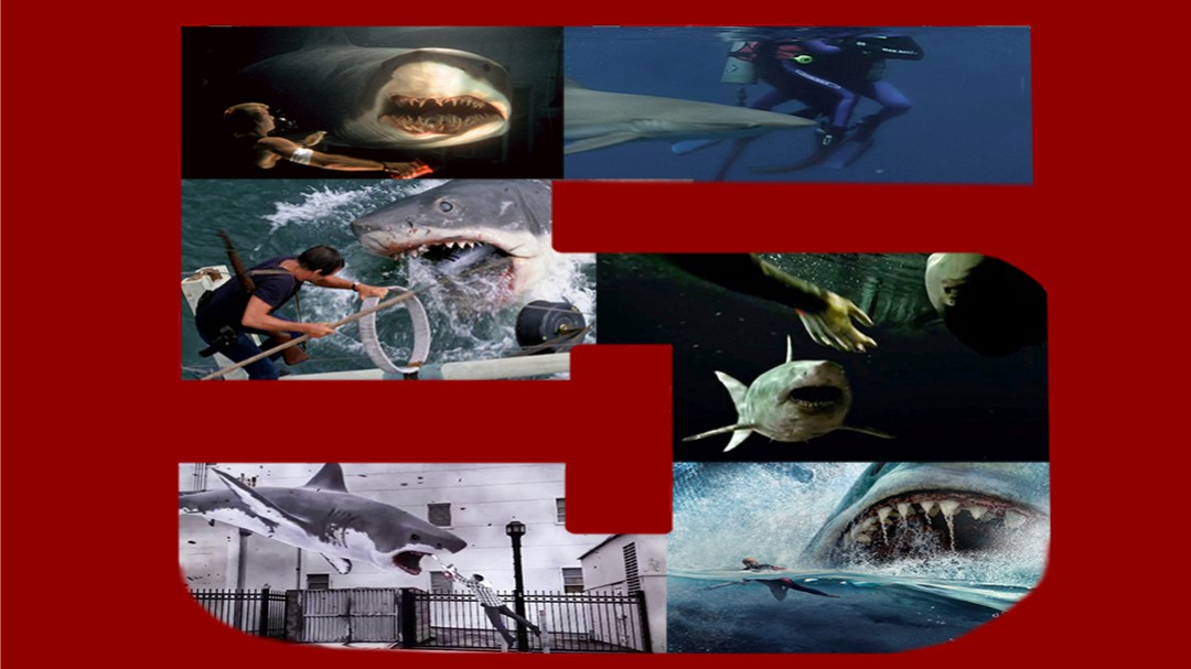 Top 5 de largometrajes sobre tiburones