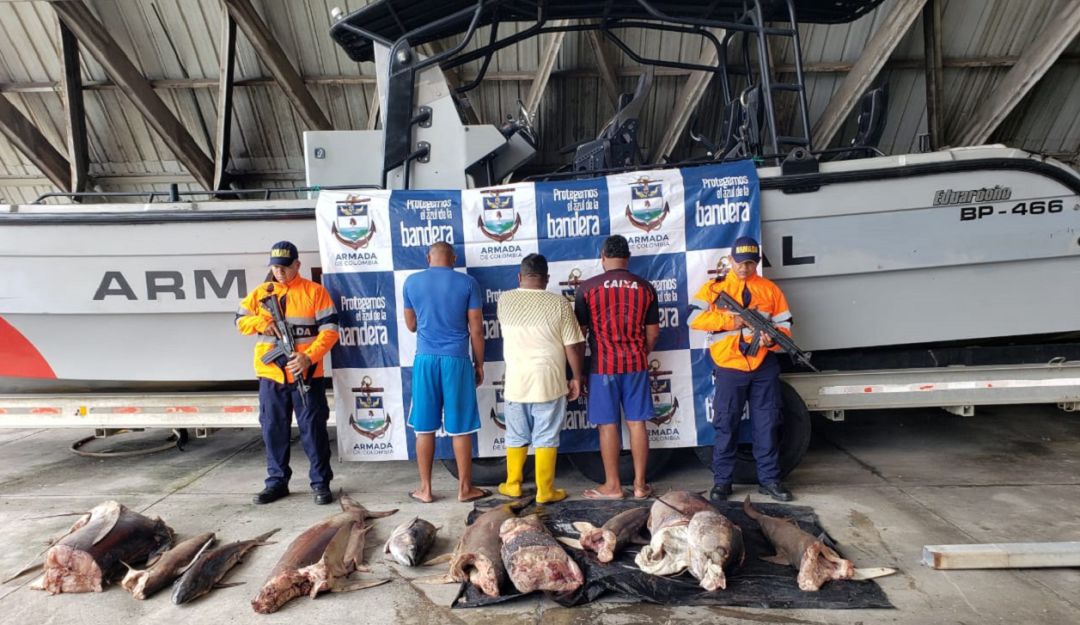 Detienen embarcación ecuatoriana, cuando realizaba pesca ilegal en Malpelo: Detienen embarcación ecuatoriana, cuando realizaba pesca ilegal en Malpelo