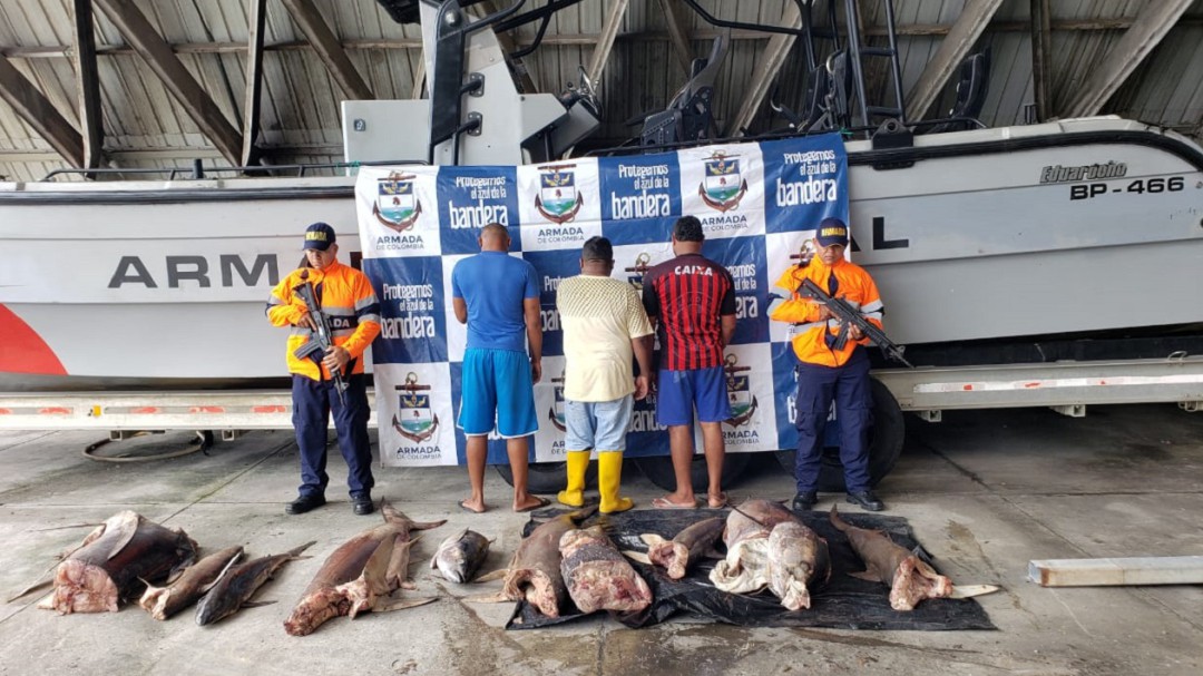 Detienen embarcación ecuatoriana, cuando realizaba pesca ilegal en Malpelo