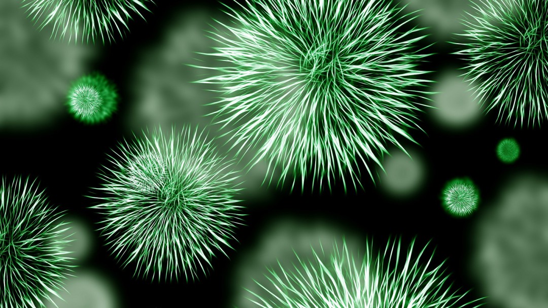 En el vehículo se pueden acumular miles de bacterias que afectan la salud