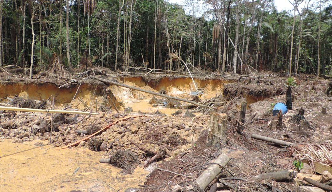 Deforestación Tala de Árboles en Colombia Medio Ambiente: La deforestación sigue concentrándose en cuatro departamentos de Colombia