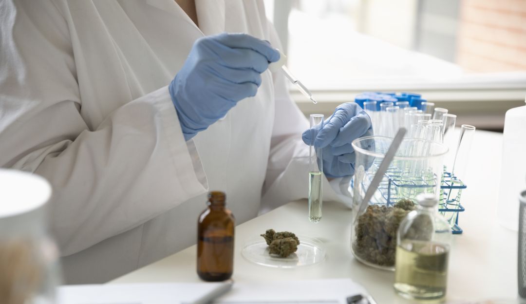 Producción de medicamentos a base Cannabis en Colombia: Lista la guía de buenas prácticas para producir medicinas a base Cannabis