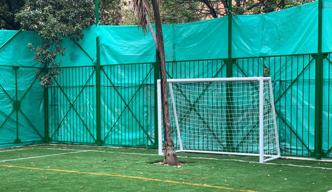 Tala de árboles del Parque Japón: Cancha del Parque Japón con árboles frente a las porterías