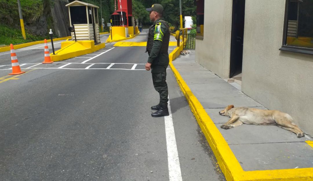 Controles Policía Puente Festivo Ibagué: Intensifican controles en la vía a la Línea por el puente festivo en Tolima