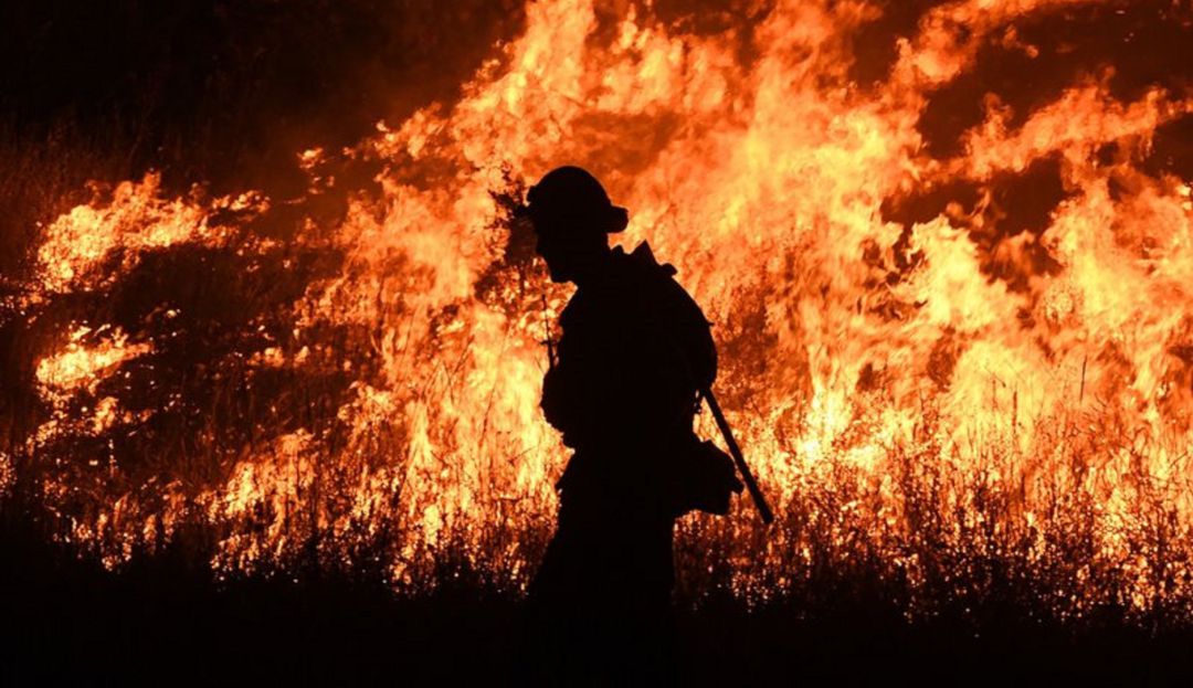 Incendios Forestales, Australia, Quemas: Incendios en Australia arrasan más de 500.000 hectáreas
