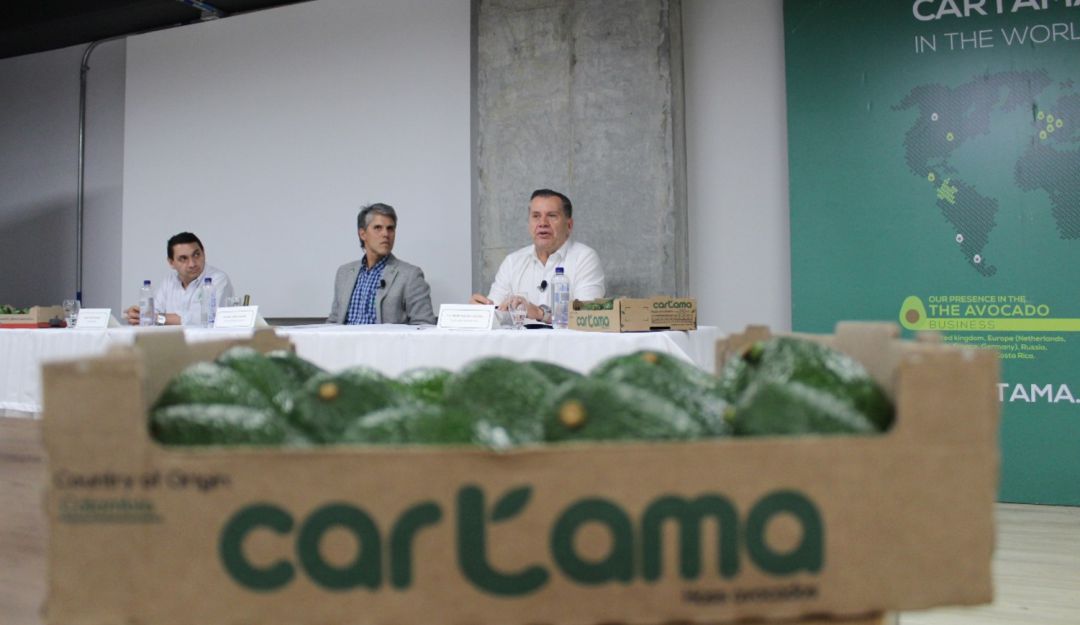 Exportación aguacate hass desde Colombia: Desde Risaralda salió el primer contenedor de aguacate hass hacia el Japón