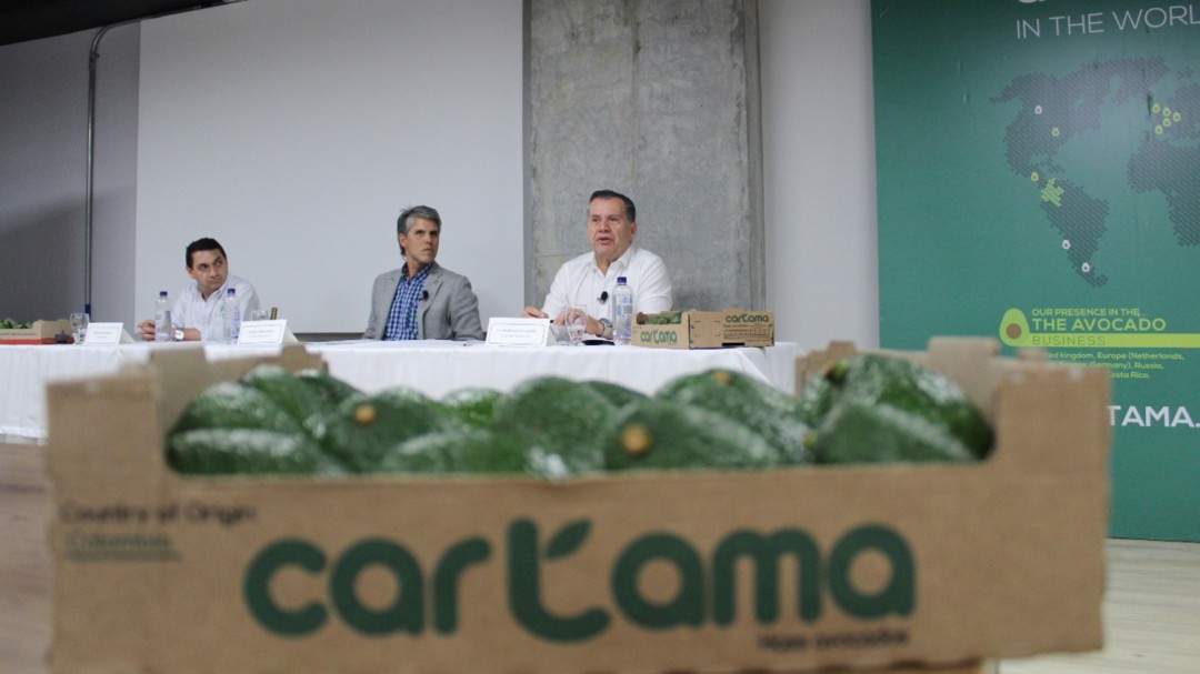 Desde Risaralda salió el primer contenedor de aguacate hass hacia el Japón