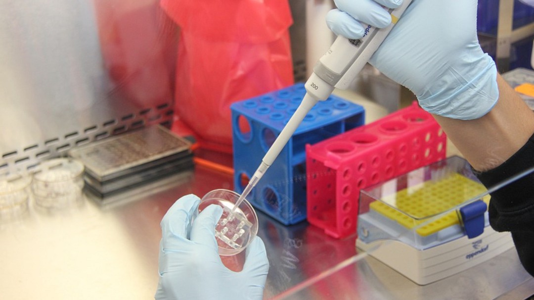 Calidad del Semen, clave en la fertilidad
