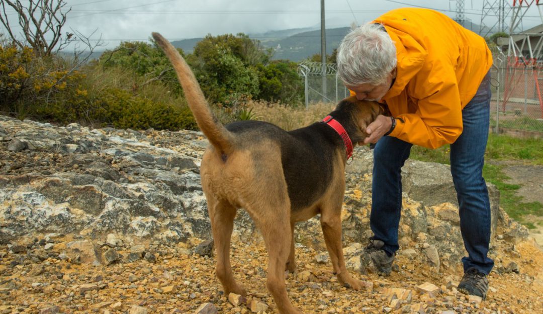 Enrique Peñalosa adopto un perro de la calle durante su alcaldía: El único amigo inseparable de Enrique Peñalosa